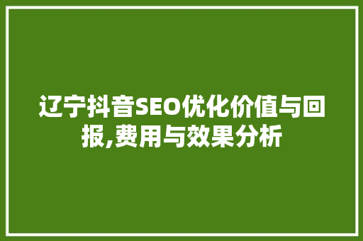 辽宁抖音SEO优化价值与回报,费用与效果分析