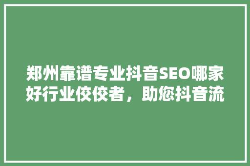郑州靠谱专业抖音SEO哪家好行业佼佼者，助您抖音流量飙升