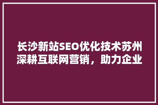 长沙新站SEO优化技术苏州深耕互联网营销，助力企业腾飞