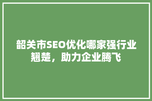 韶关市SEO优化哪家强行业翘楚，助力企业腾飞