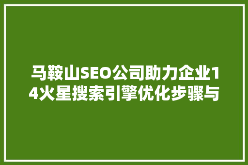 马鞍山SEO公司助力企业14火星搜索引擎优化步骤与实战方法