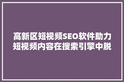 高新区短视频SEO软件助力短视频内容在搜索引擎中脱颖而出