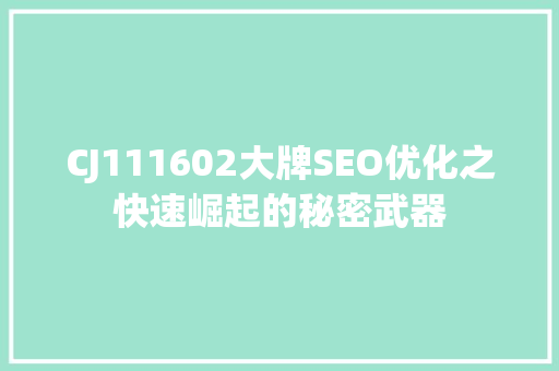CJ111602大牌SEO优化之快速崛起的秘密武器