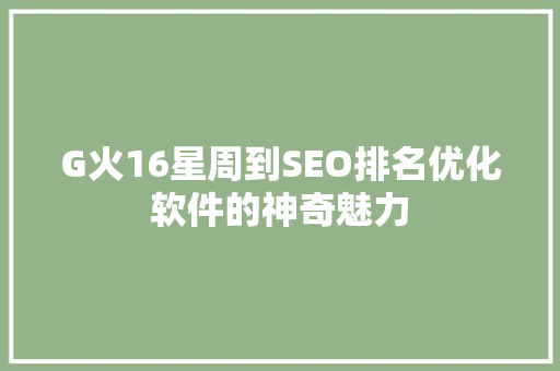G火16星周到SEO排名优化软件的神奇魅力