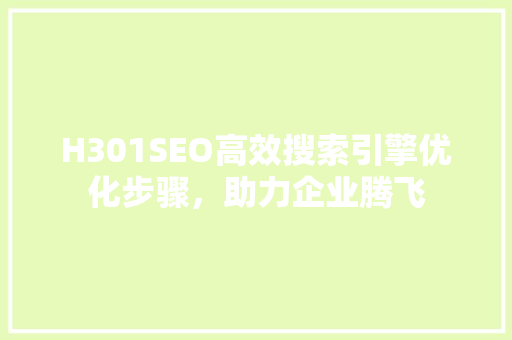 H301SEO高效搜索引擎优化步骤，助力企业腾飞