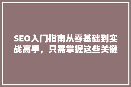 SEO入门指南从零基础到实战高手，只需掌握这些关键步骤