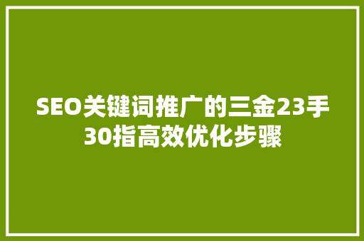 SEO关键词推广的三金23手30指高效优化步骤