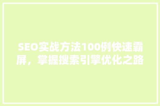 SEO实战方法100例快速霸屏，掌握搜索引擎优化之路