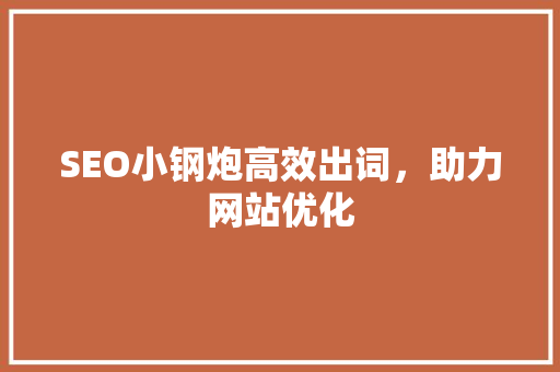 SEO小钢炮高效出词，助力网站优化