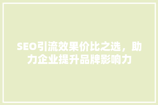 SEO引流效果价比之选，助力企业提升品牌影响力