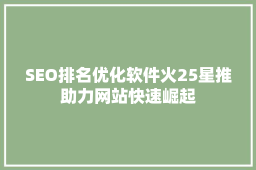 SEO排名优化软件火25星推助力网站快速崛起