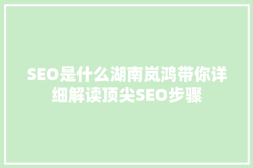 SEO是什么湖南岚鸿带你详细解读顶尖SEO步骤