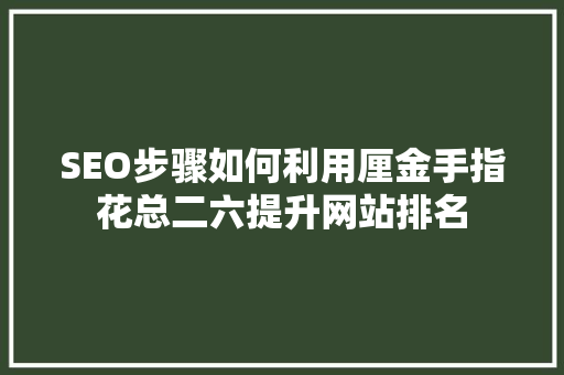 SEO步骤如何利用厘金手指花总二六提升网站排名