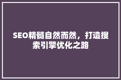 SEO精髓自然而然，打造搜索引擎优化之路