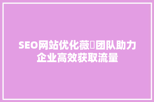 SEO网站优化薇鈊团队助力企业高效获取流量