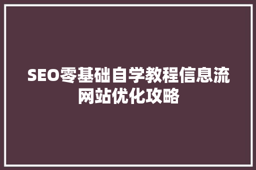 SEO零基础自学教程信息流网站优化攻略