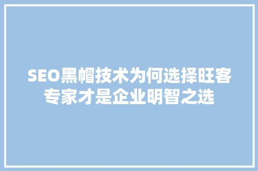 SEO黑帽技术为何选择旺客专家才是企业明智之选