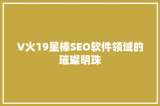 V火19星棒SEO软件领域的璀璨明珠