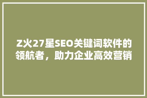 Z火27星SEO关键词软件的领航者，助力企业高效营销