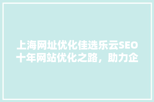上海网址优化佳选乐云SEO十年网站优化之路，助力企业腾飞