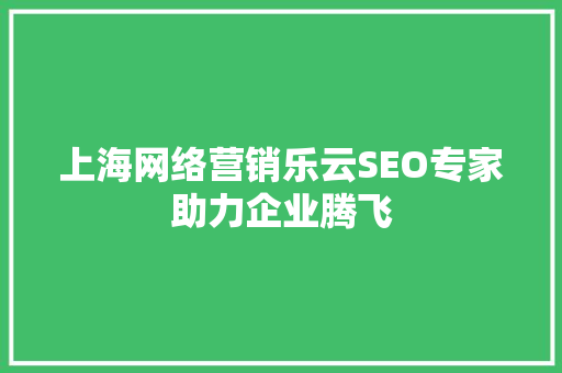 上海网络营销乐云SEO专家助力企业腾飞