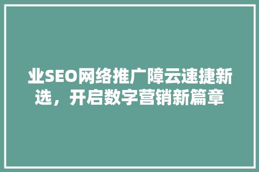业SEO网络推广障云速捷新选，开启数字营销新篇章