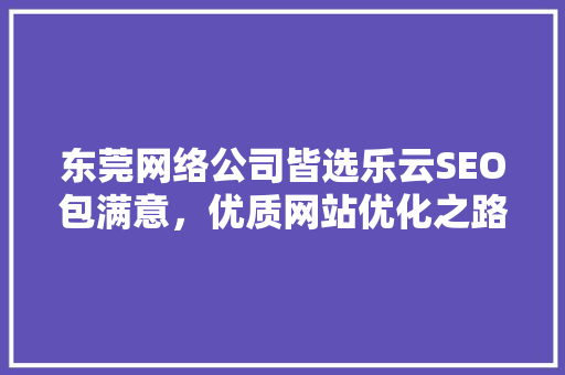 东莞网络公司皆选乐云SEO包满意，优质网站优化之路