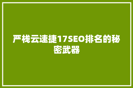 严栈云速捷17SEO排名的秘密武器