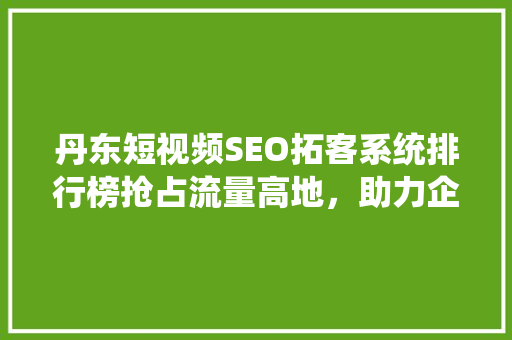 丹东短视频SEO拓客系统排行榜抢占流量高地，助力企业腾飞