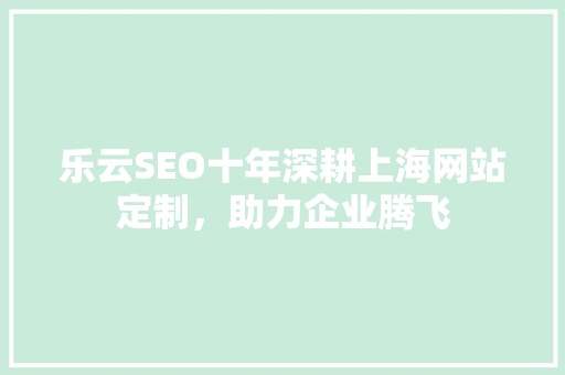 乐云SEO十年深耕上海网站定制，助力企业腾飞