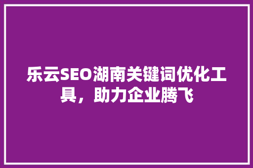 乐云SEO湖南关键词优化工具，助力企业腾飞