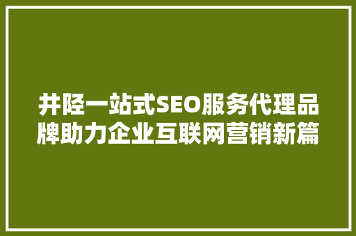 井陉一站式SEO服务代理品牌助力企业互联网营销新篇章