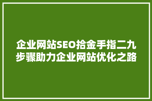 企业网站SEO拾金手指二九步骤助力企业网站优化之路