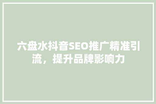 六盘水抖音SEO推广精准引流，提升品牌影响力