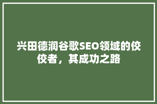兴田德润谷歌SEO领域的佼佼者，其成功之路