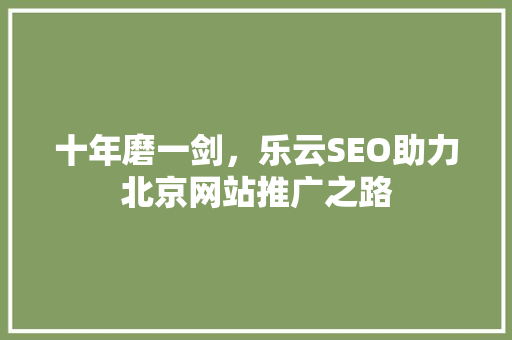 十年磨一剑，乐云SEO助力北京网站推广之路