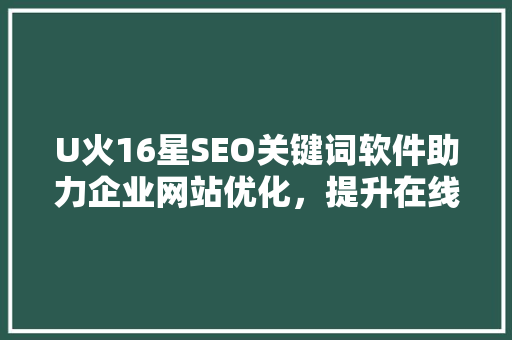 U火16星SEO关键词软件助力企业网站优化，提升在线竞争力