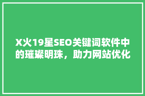 X火19星SEO关键词软件中的璀璨明珠，助力网站优化与提升