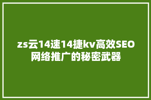 zs云14速14捷kv高效SEO网络推广的秘密武器