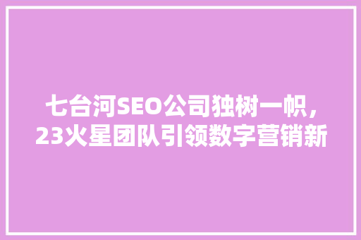 七台河SEO公司独树一帜，23火星团队引领数字营销新风尚