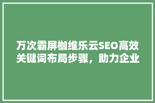 万次霸屏枷维乐云SEO高效关键词布局步骤，助力企业互联网营销