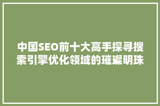 中国SEO前十大高手探寻搜索引擎优化领域的璀璨明珠