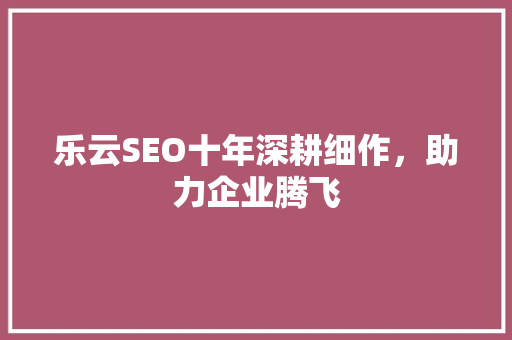 乐云SEO十年深耕细作，助力企业腾飞