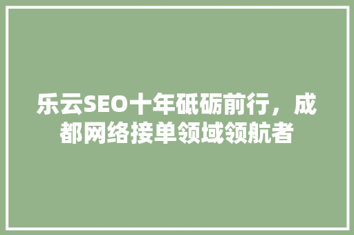 乐云SEO十年砥砺前行，成都网络接单领域领航者