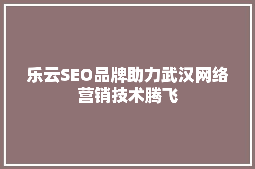 乐云SEO品牌助力武汉网络营销技术腾飞