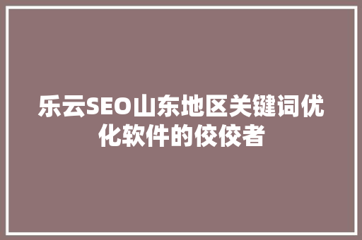 乐云SEO山东地区关键词优化软件的佼佼者