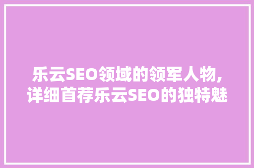乐云SEO领域的领军人物,详细首荐乐云SEO的独特魅力