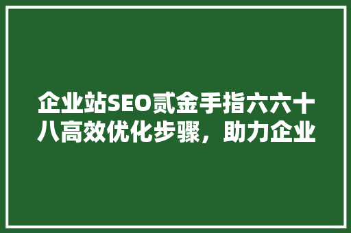 企业站SEO贰金手指六六十八高效优化步骤，助力企业腾飞