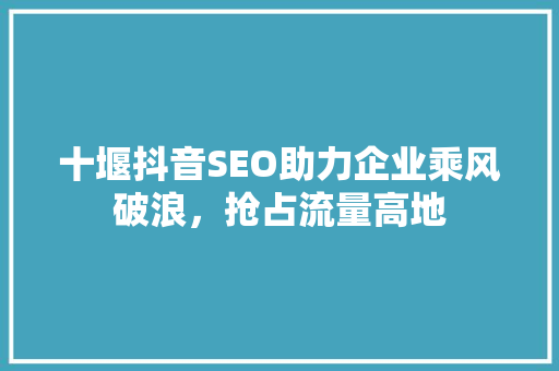 十堰抖音SEO助力企业乘风破浪，抢占流量高地