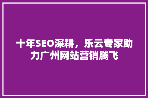 十年SEO深耕，乐云专家助力广州网站营销腾飞